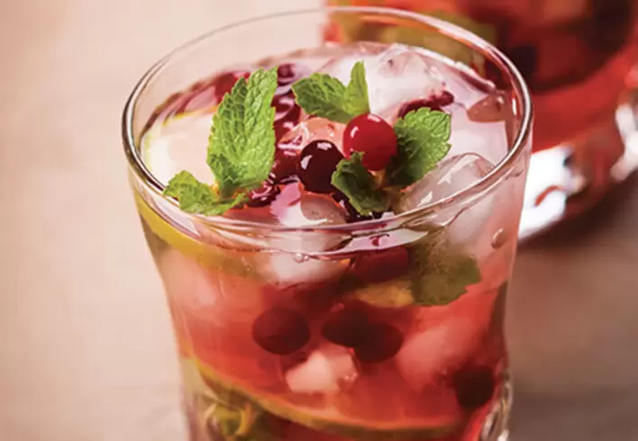 Holiday Cranberry Mojito Recipe
